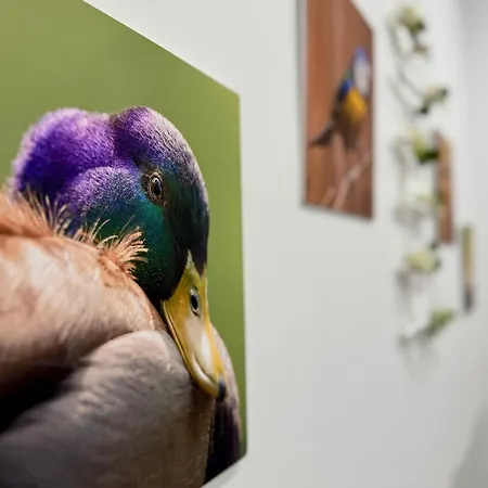 Apartmán Potoklinica