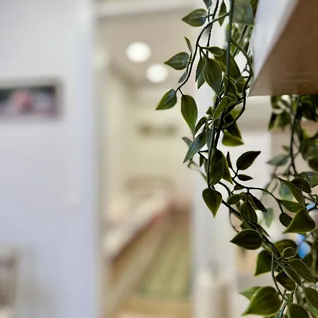 Potoklinica דירה סראייבו