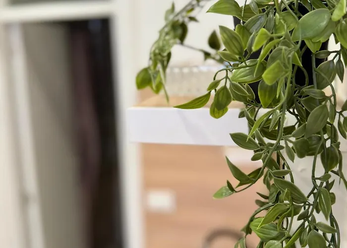 Potoklinica 公寓 塞拉耶佛